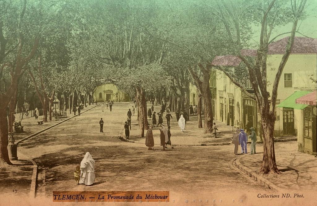 Tlemcen 194- Monneret.jpg